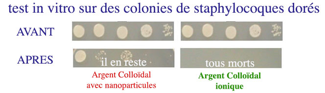 Test comparatif argent colloidal 23ppm contre staphylocoques dorés